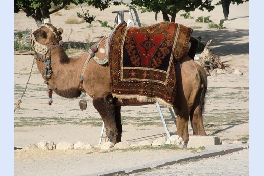 Turchia 2010 - Cappadocia